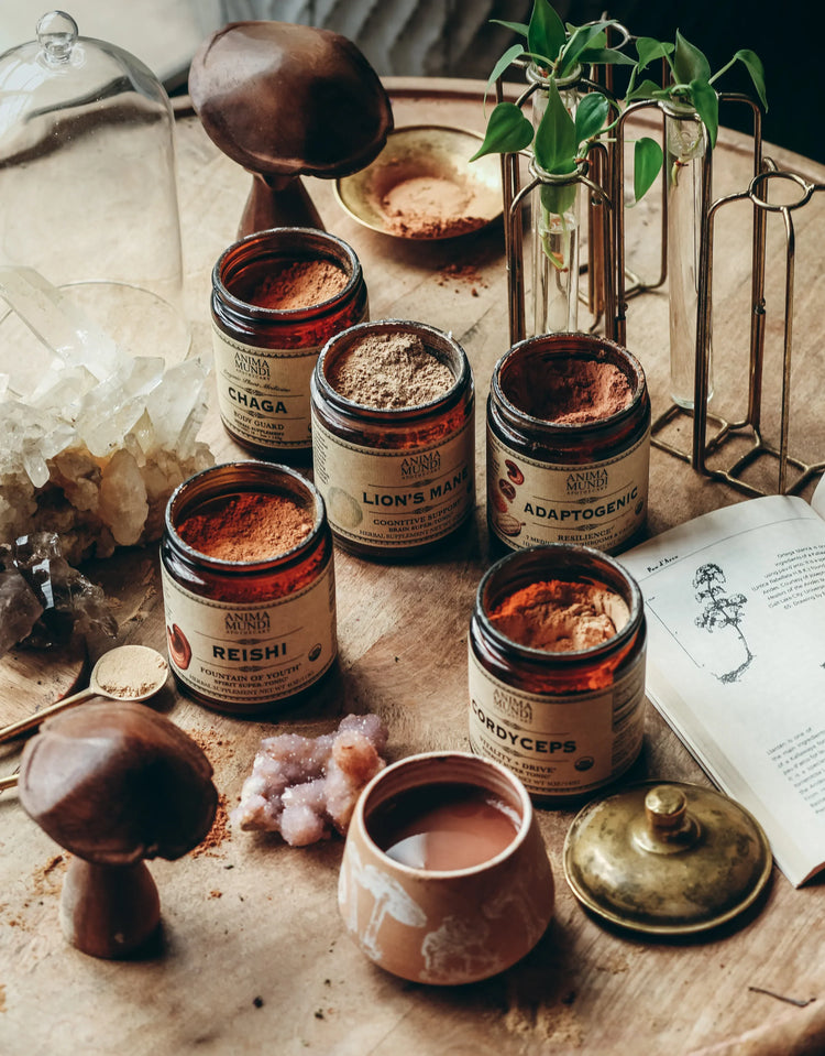 Anima Mundi Plant Medicine
