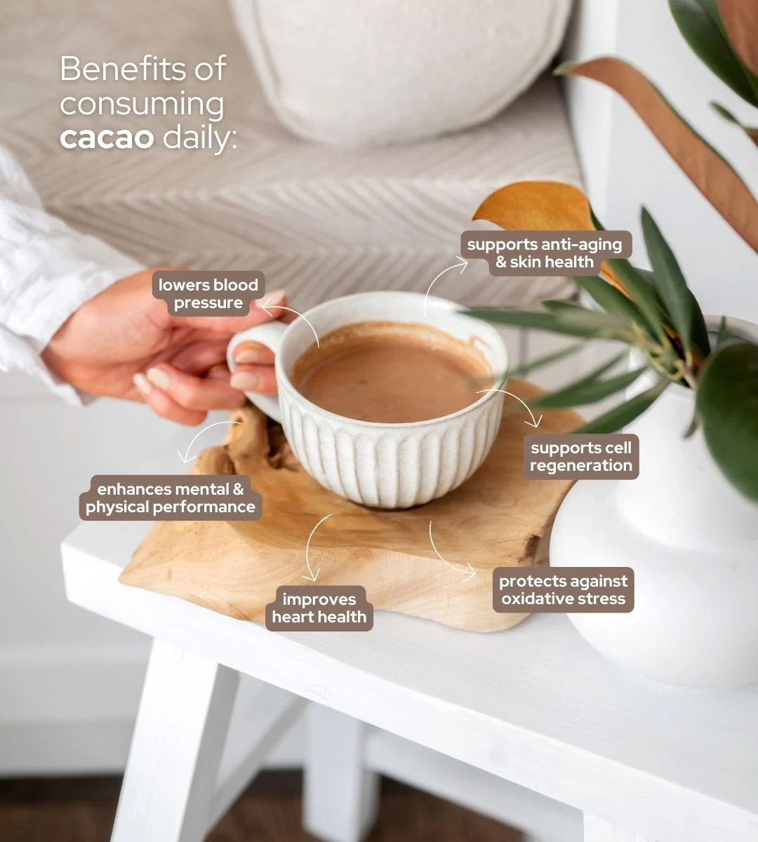 Cacao Collective | Ceremonial Grade Cacao | Functional Wellness Drink