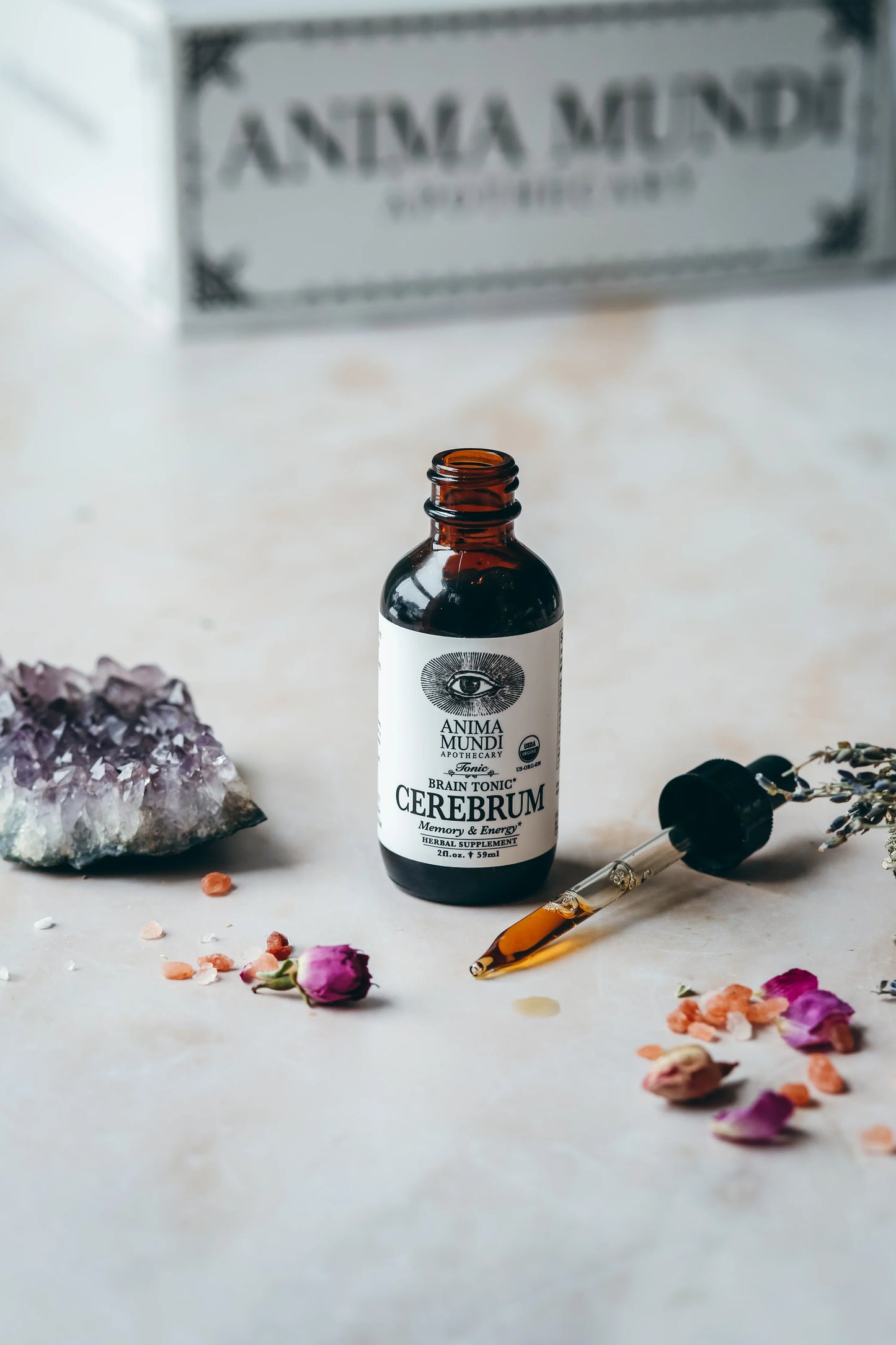Cerebrum | Memory + Energy Tonic | Anima Mundi