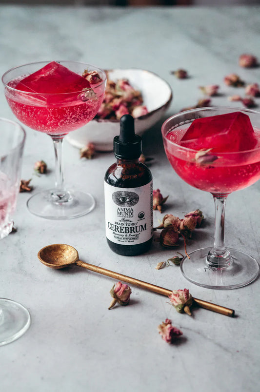 Cerebrum | Memory + Energy Tonic | Anima Mundi