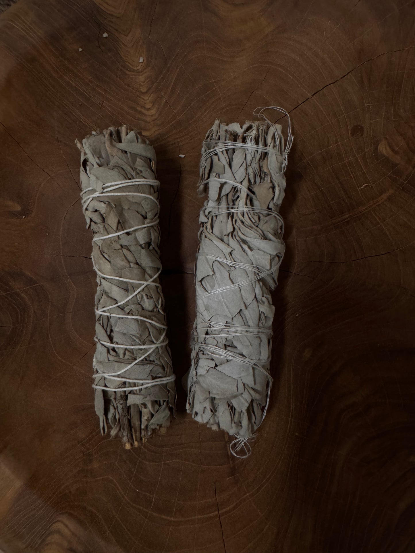 White Sage Smudge Stick Medium