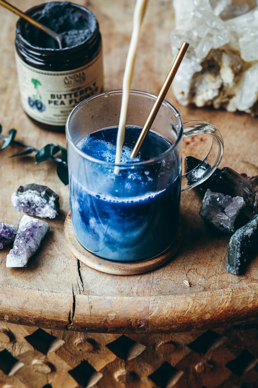 Butterfly Pea Flower | Blue Healer | Anima Mundi