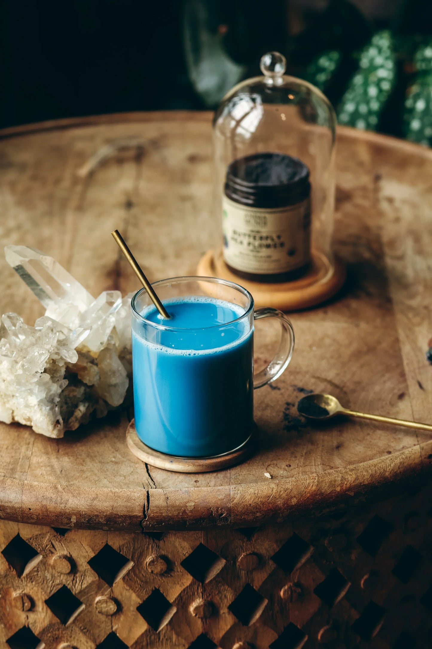 Butterfly Pea Flower | Blue Healer | Anima Mundi