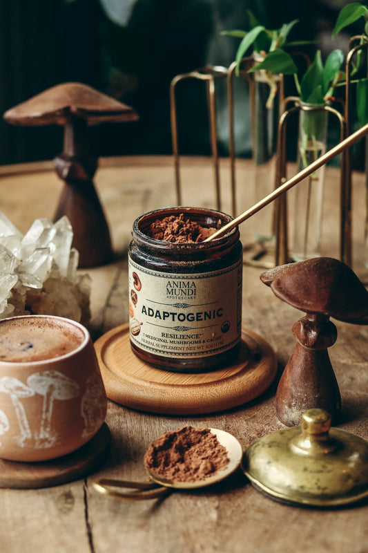 Adaptogenic Powder | 7 Medicinal Mushrooms + Cacao | Anima Mundi