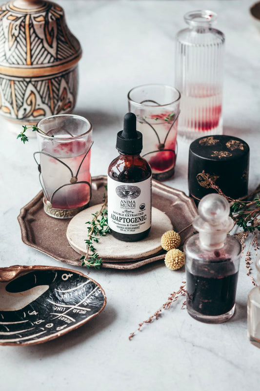 Adaptogenic | 7 Mushroom + Camu Camu | Anima Mundi