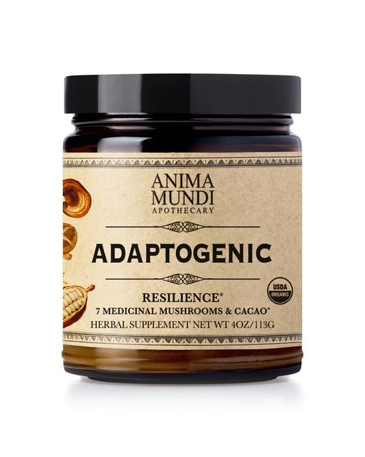 Adaptogenic Powder | 7 Medicinal Mushrooms + Cacao | Anima Mundi