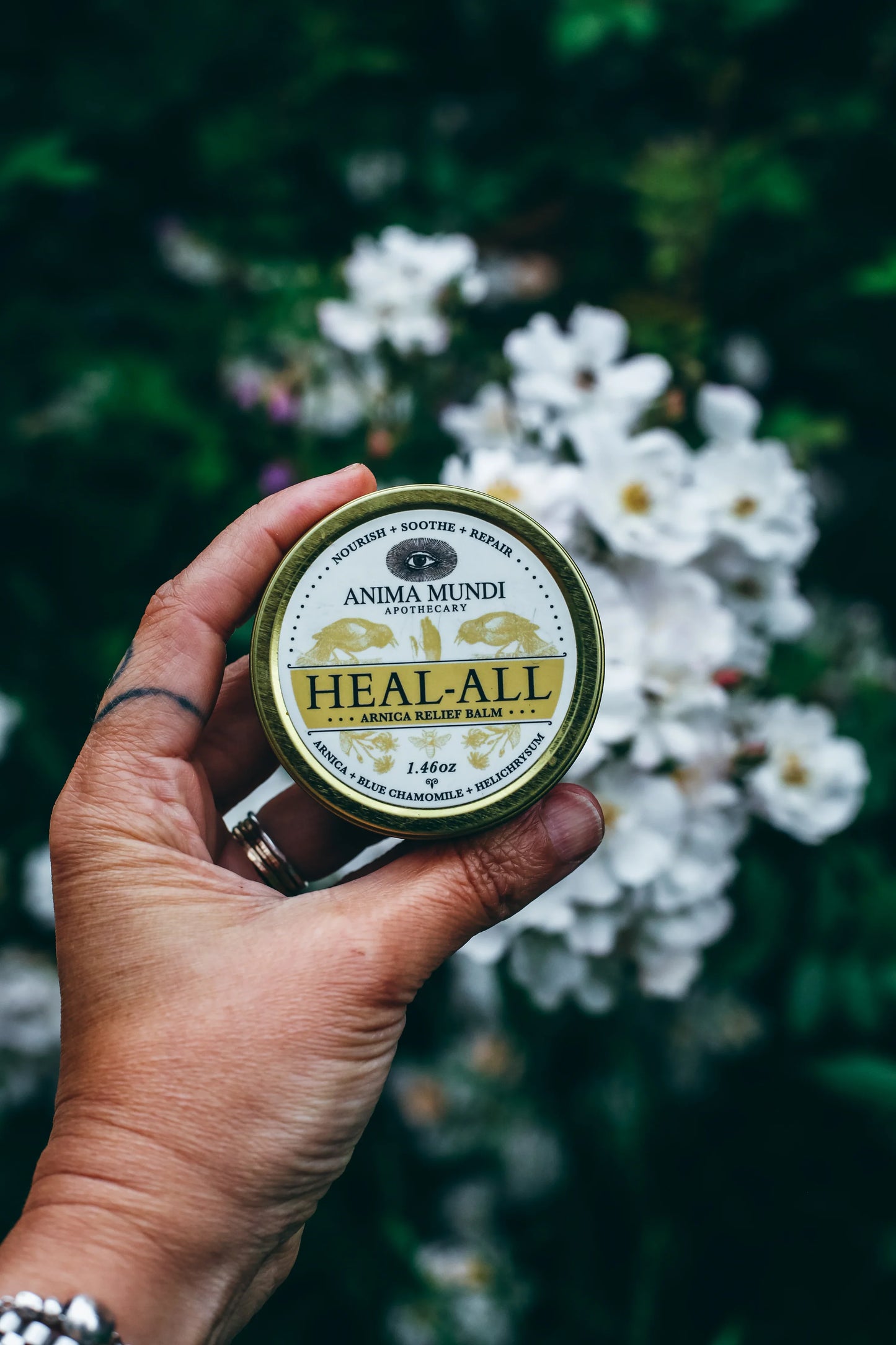 Arnica Relief Balm | Nourish, Soothe + Repair | Anima Mundi