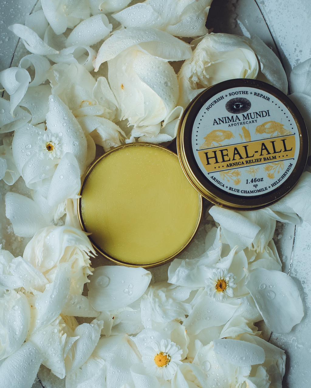 Arnica Relief Balm | Nourish, Soothe + Repair | Anima Mundi