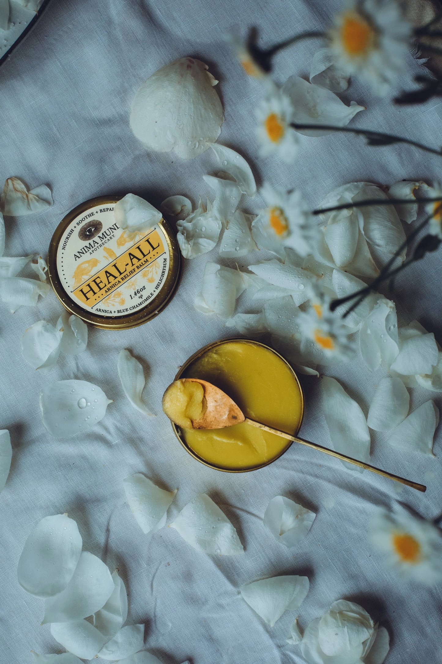 Arnica Relief Balm | Nourish, Soothe + Repair | Anima Mundi