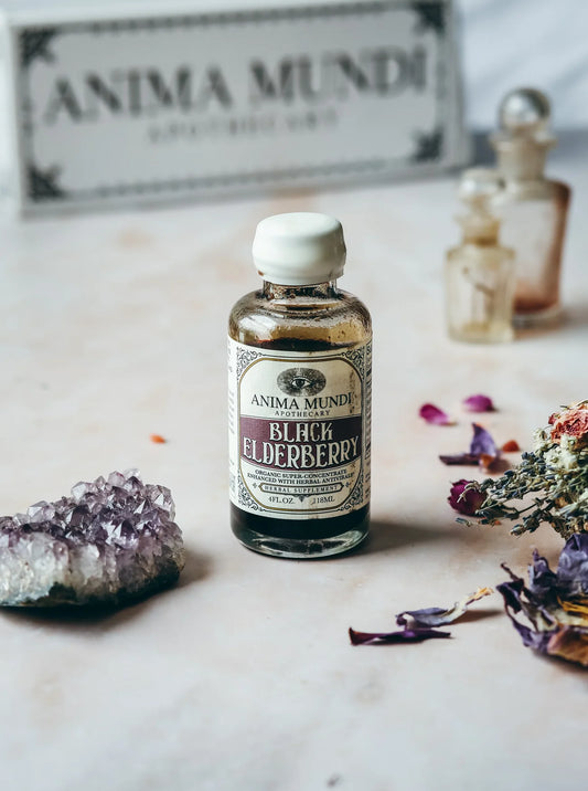 Black Elderberry Elixir | Organic Antivirals | Anima Mundi