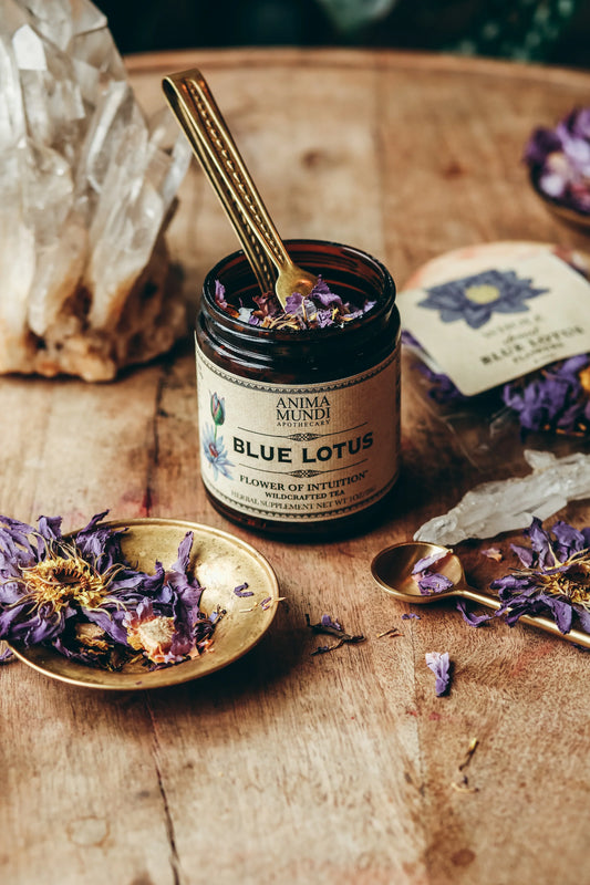 Blue Lotus | Flower of Intuition Tea | Anima Mundi