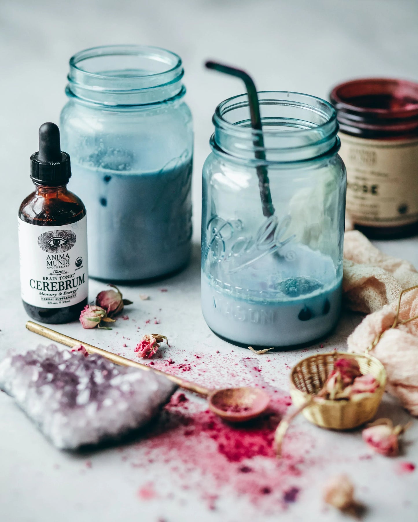 Cerebrum | Memory + Energy Tonic | Anima Mundi