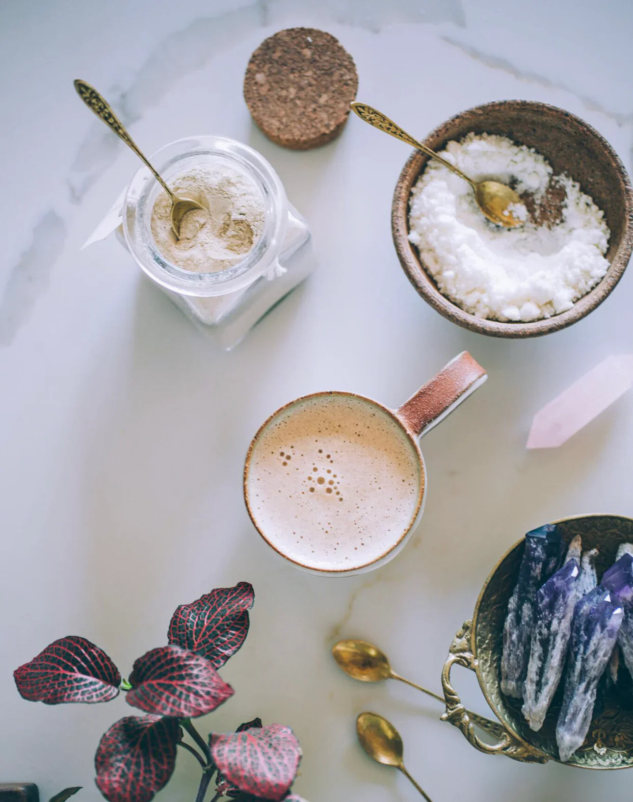 Coconut Cream | Dairy Free Creamer | Anima Mundi