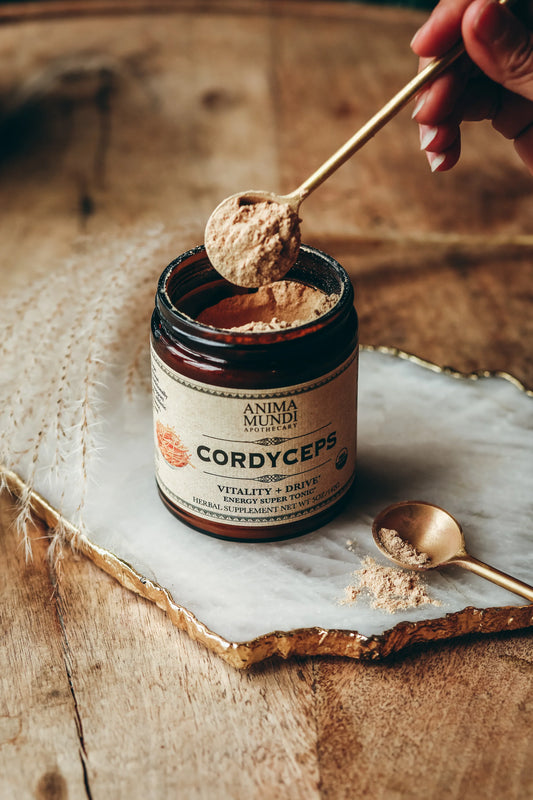 Cordyceps | Energy Super Tonic* | Anima Mundi