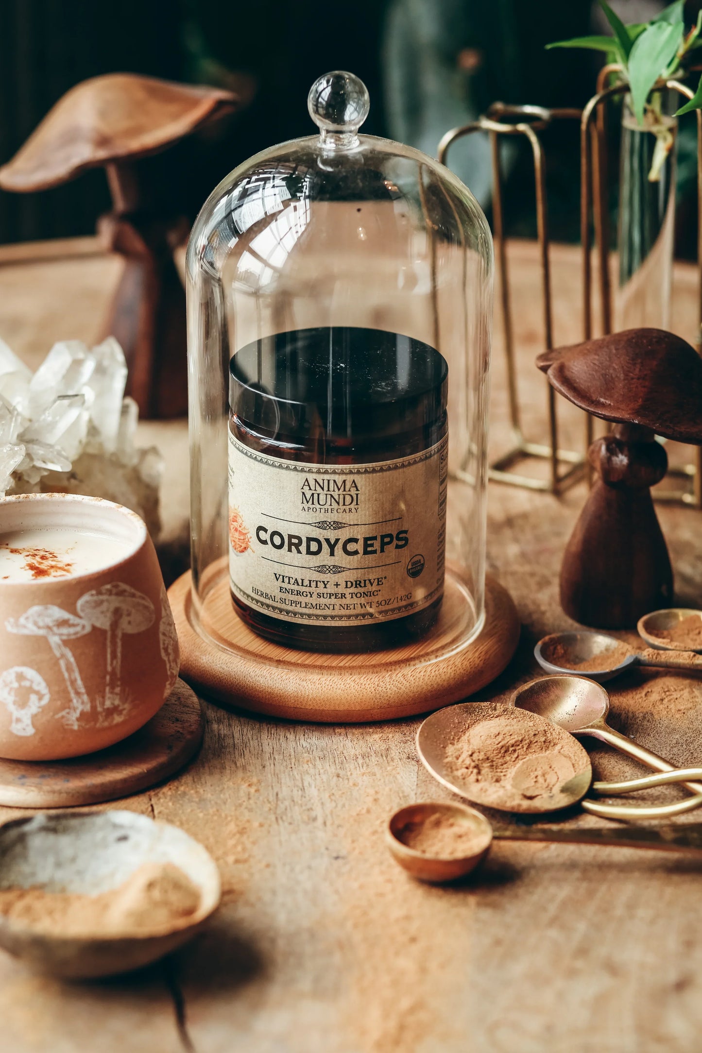 Cordyceps | Energy Super Tonic* | Anima Mundi