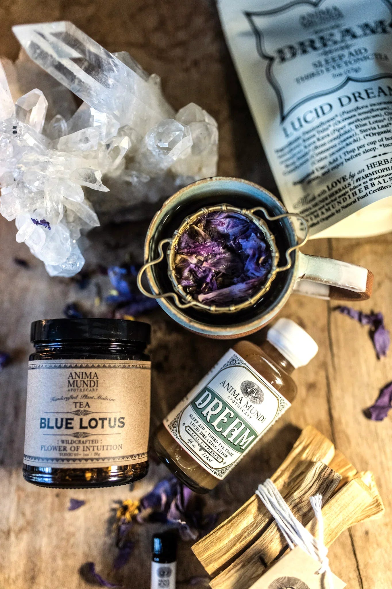 Dream Elixir | Sleep Aid + Third Eye Tonic | Anima Mundi