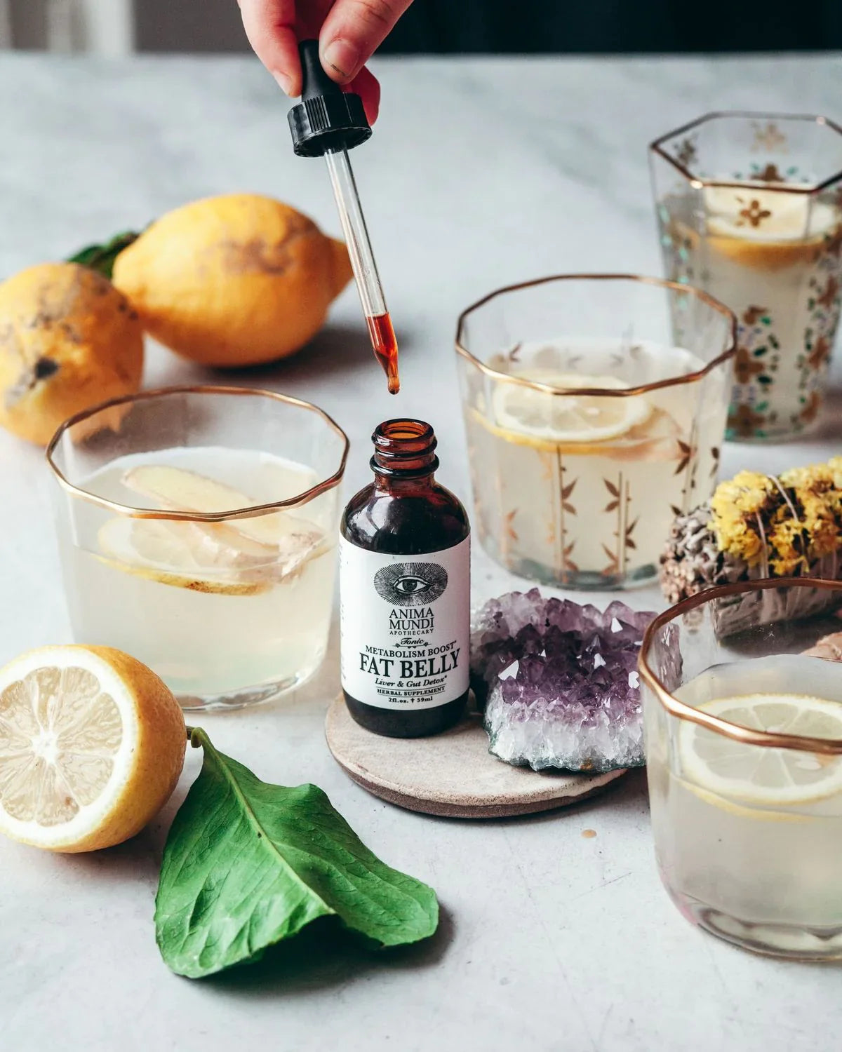 Fat Belly | Metabolism Boost* | Anima Mundi