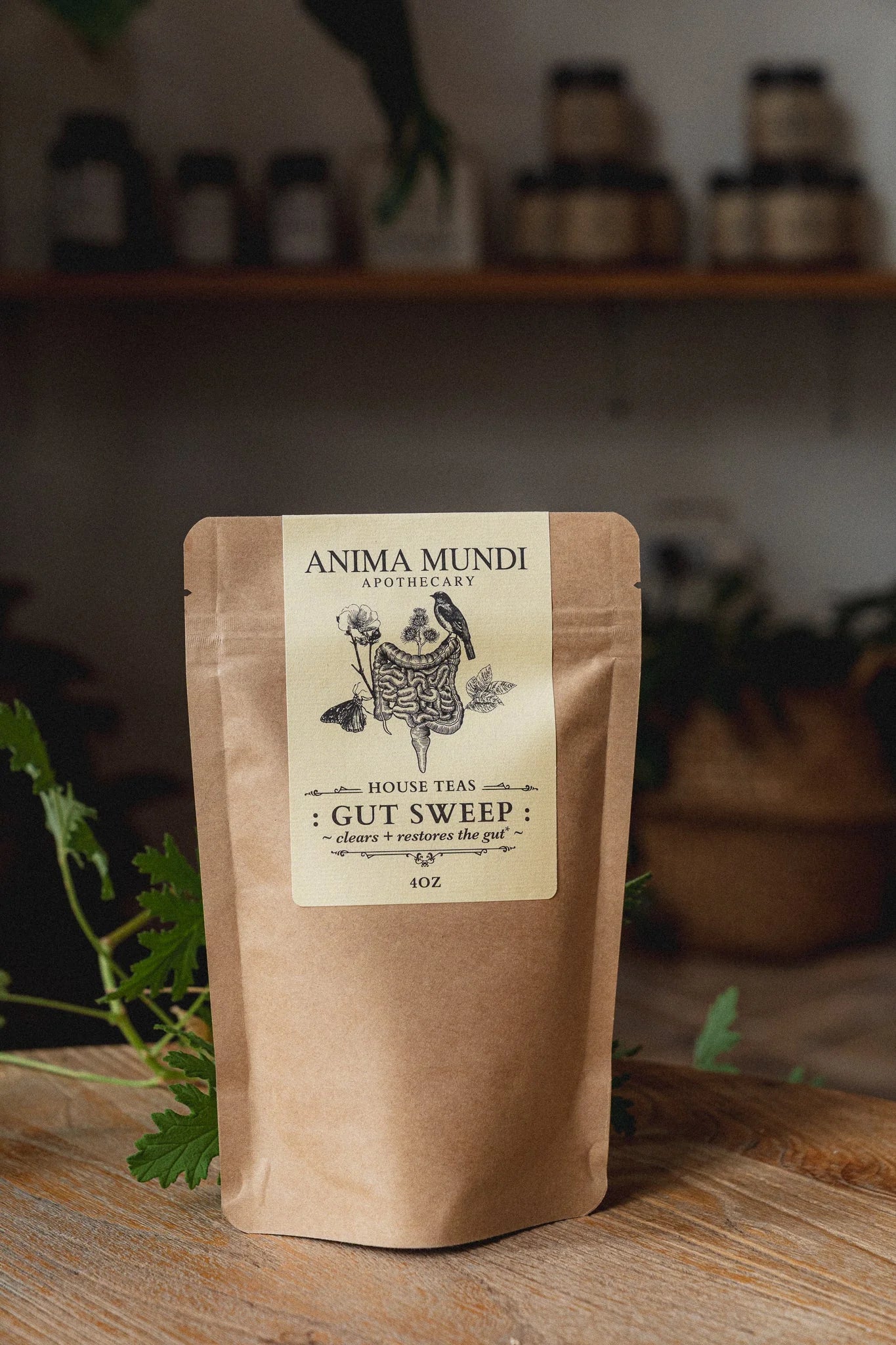 Gut Sweep | Intestinal Love, Parasite Support Tea | Anima Mundi