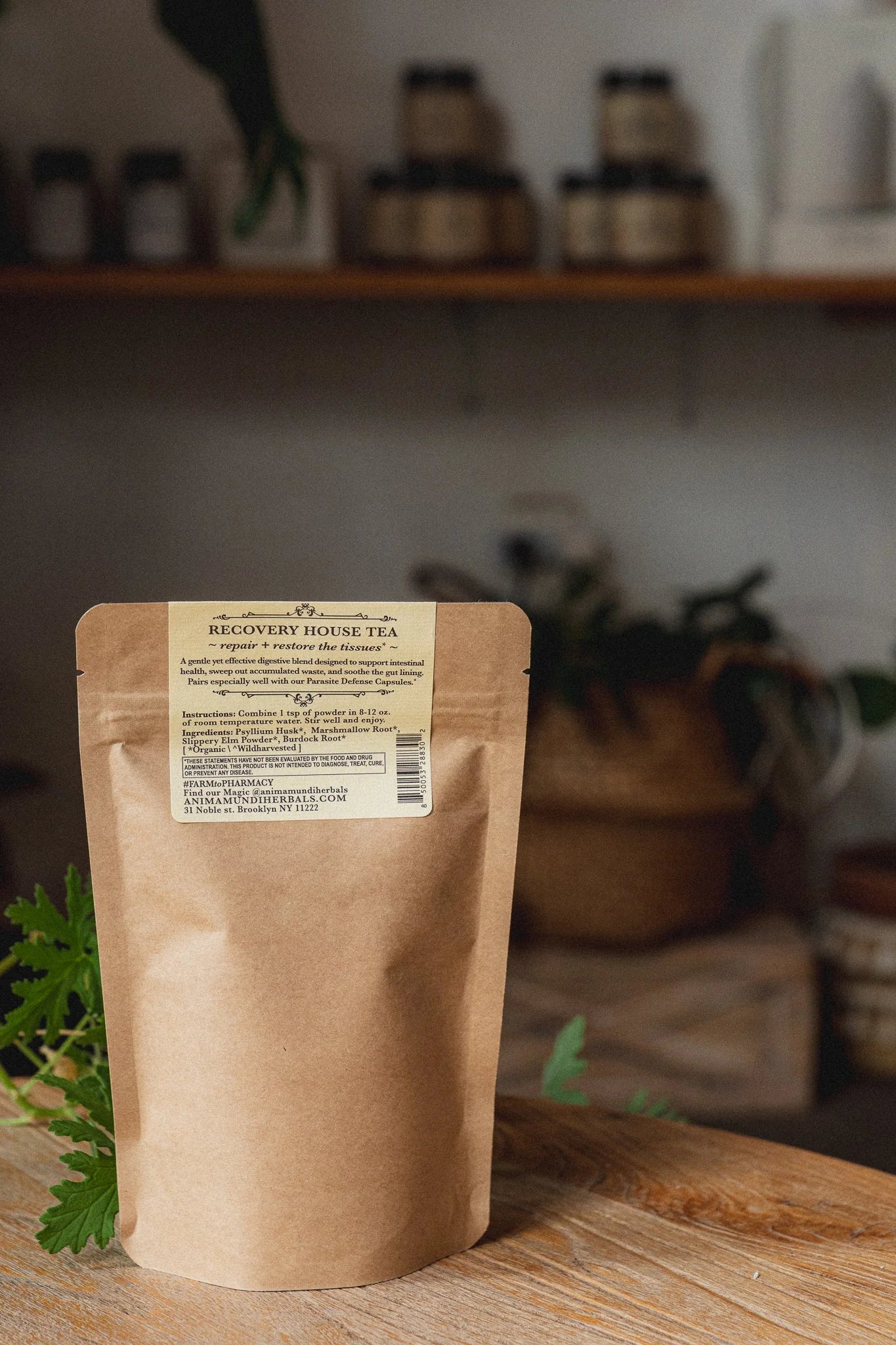 Gut Sweep | Intestinal Love, Parasite Support Tea | Anima Mundi