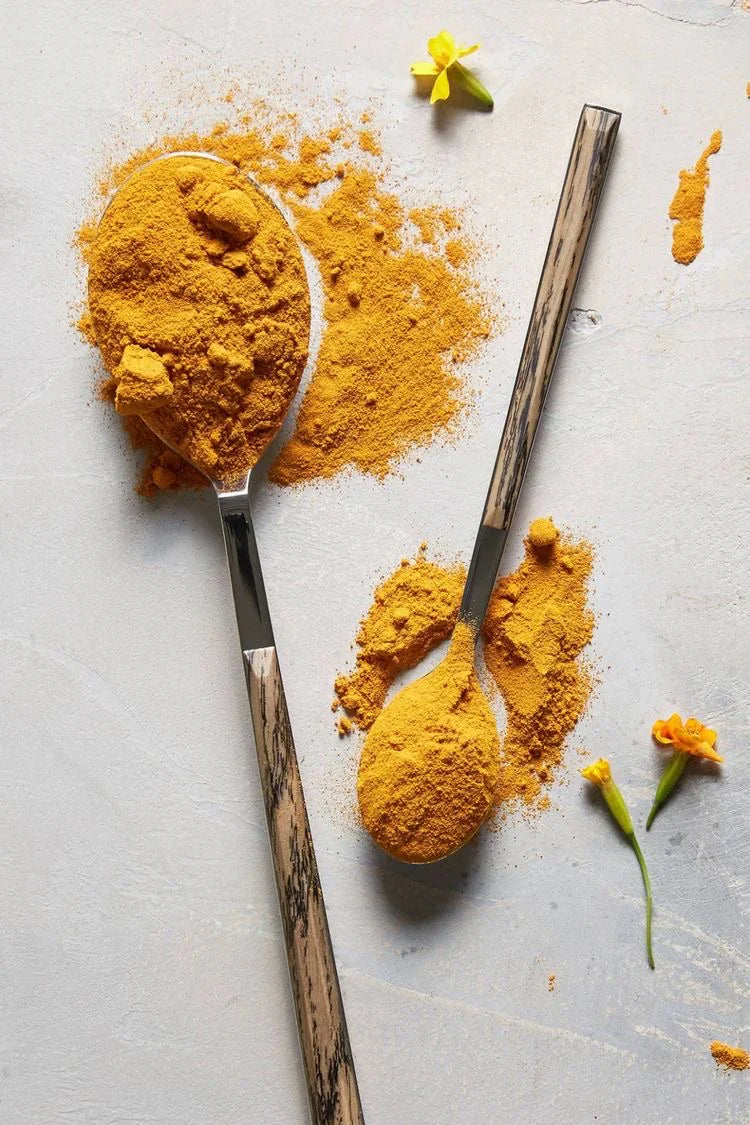 Golden Sun Milk | Energizing Adaptogenic Chai | Anima Mundi