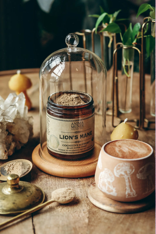 Lion's Mane | Mushrooms | Anima Mundi