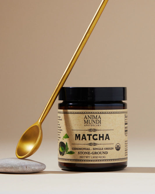 Matcha | Organic + Ceremonial Grade | Anima Mundi