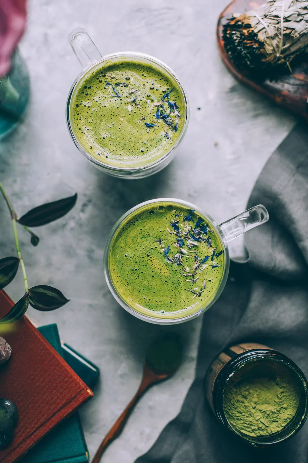 Moringa | Mineralising Super Tonic* | Anima Mundi