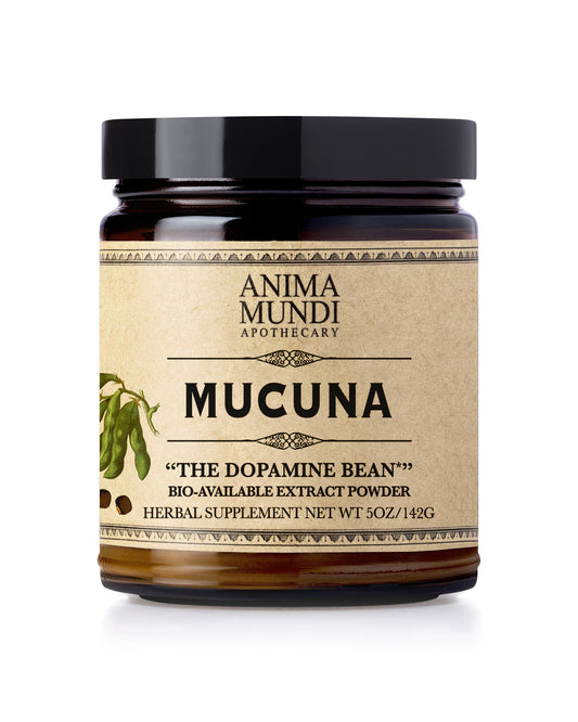 Mucuna | "The Dopamine Bean" | Anima Mundi