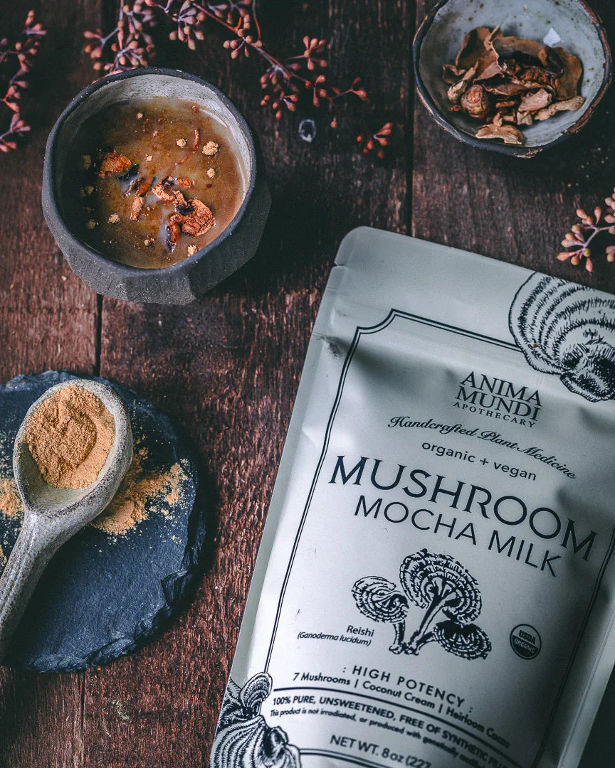 Mushroom Mocha Milk | Longevity Milk* | Anima Mundi