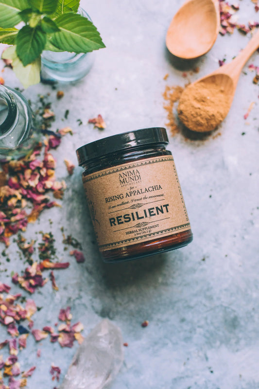 Resilient Powder | Adaptogens + Cacao | Anima Mundi
