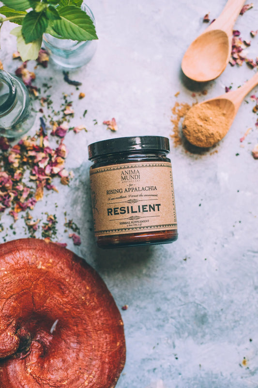 Resilient Powder | Adaptogens + Cacao | Anima Mundi