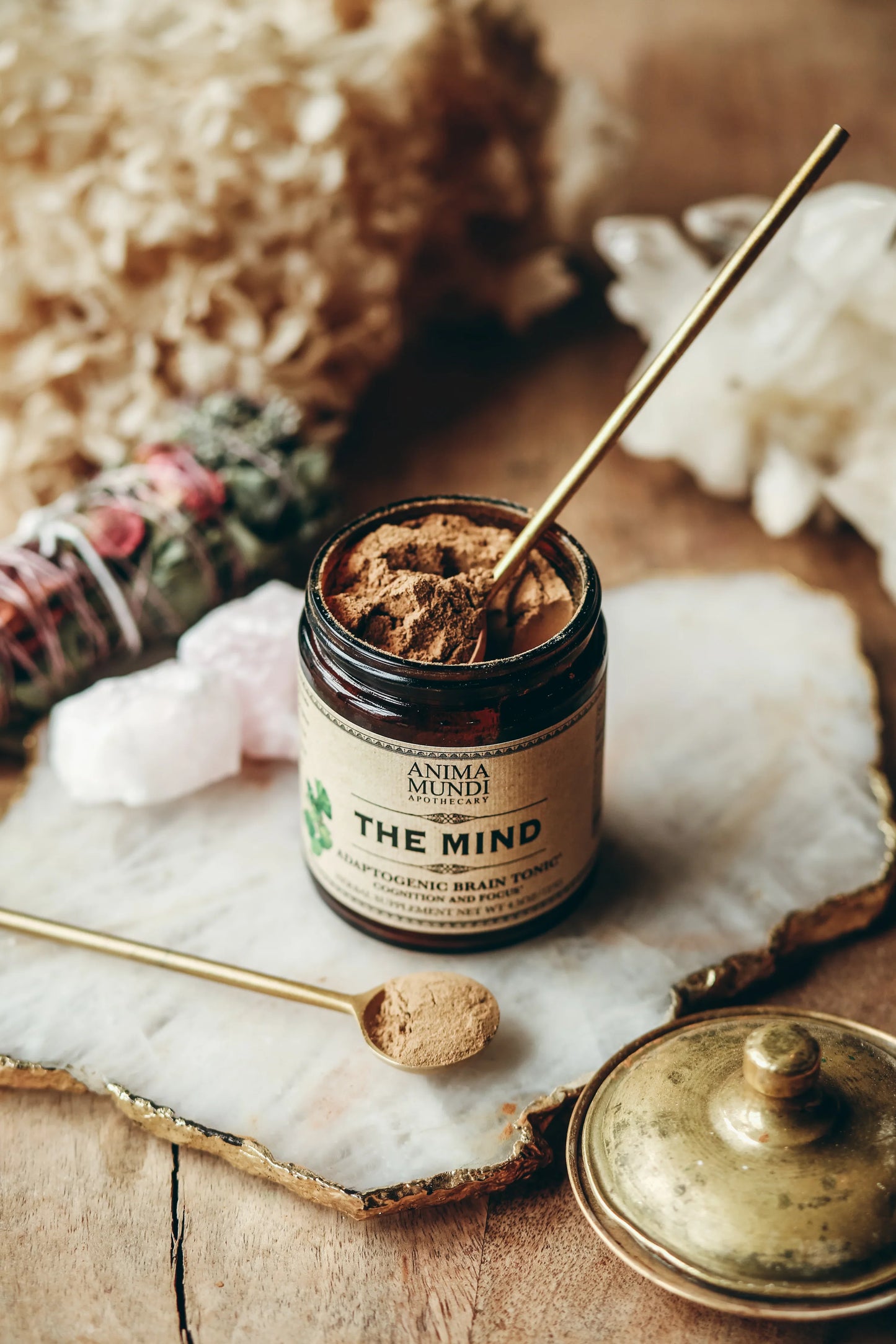 The Mind | Cognition + Focus* | Anima Mundi