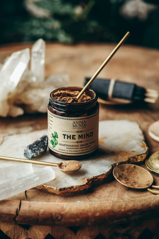 The Mind | Cognition + Focus* | Anima Mundi