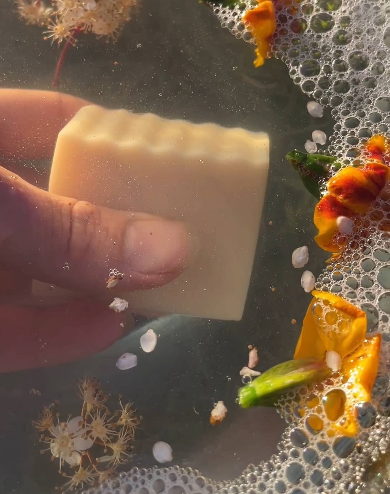 Forest Natural Naked Soap Palm-free & Cruelty-free | Guapa Collection