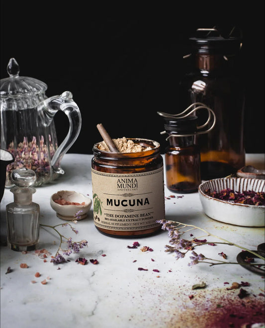 Mucuna | "The Dopamine Bean" | Anima Mundi