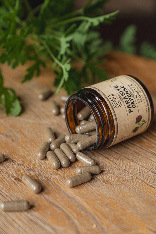 Parasite Defense | Gut Protection* Capsules Sale price | Anima Mundi