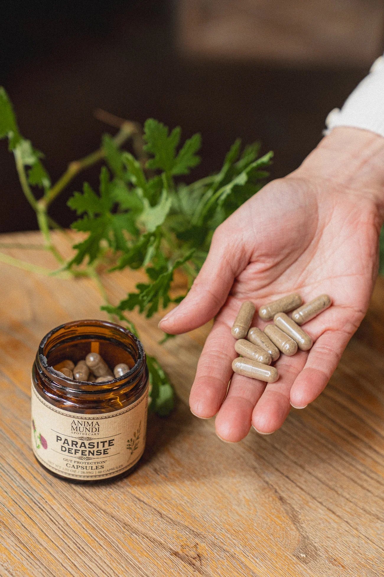 Parasite Defense | Gut Protection* Capsules Sale price | Anima Mundi