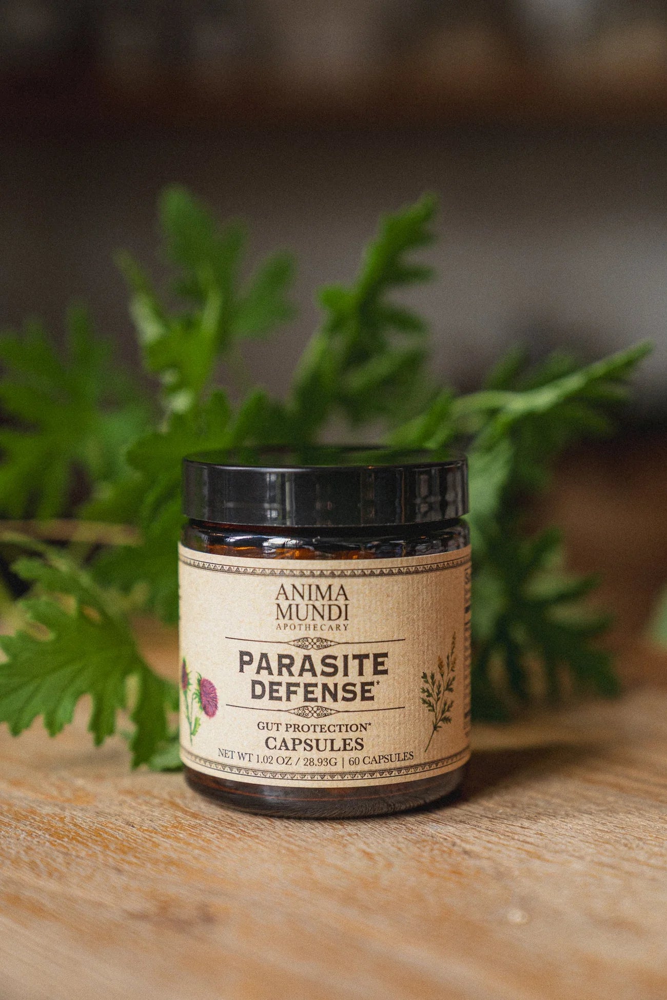 Parasite Defense | Gut Protection* Capsules Sale price | Anima Mundi