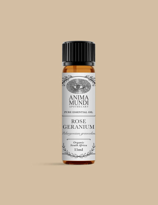 Rose Geranium Pure Essential Oil | Wildcrafted | Anima Mundi