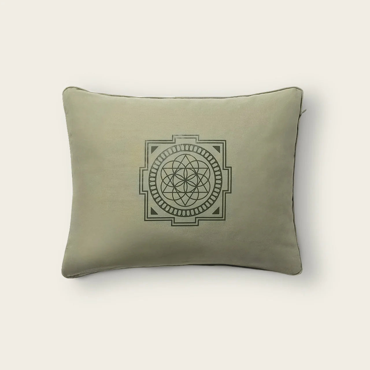 Shakti Premium Acupressure Pillow - Level 2