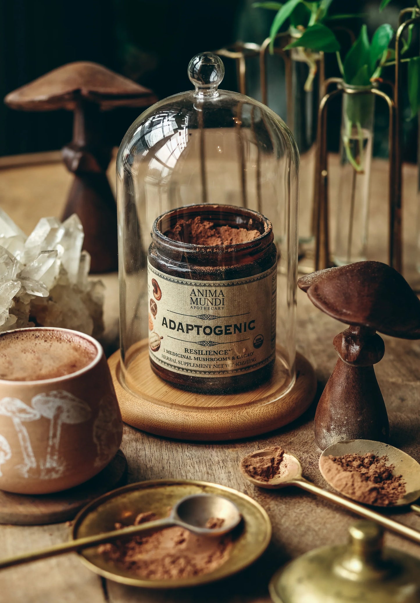 Adaptogenic Powder | 7 Medicinal Mushrooms + Cacao | Anima Mundi