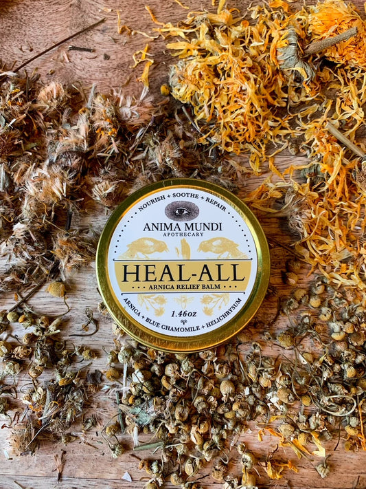 Arnica Relief Balm | Nourish, Soothe + Repair | Anima Mundi