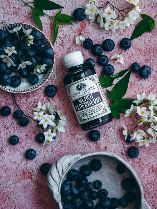 Black Elderberry Elixir | Organic Antivirals | Anima Mundi
