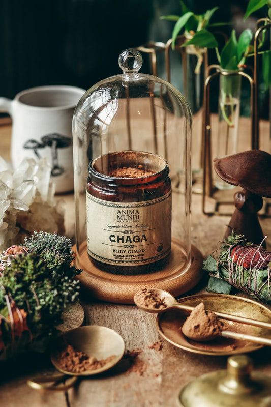 Chaga | Body Guard | Anima Mundi