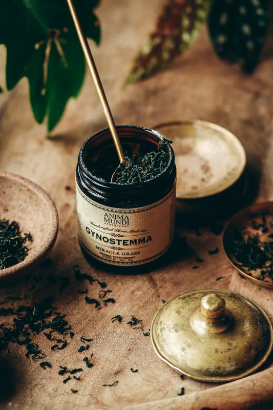 Gynostemma | Miracle Grass | Anima Mundi