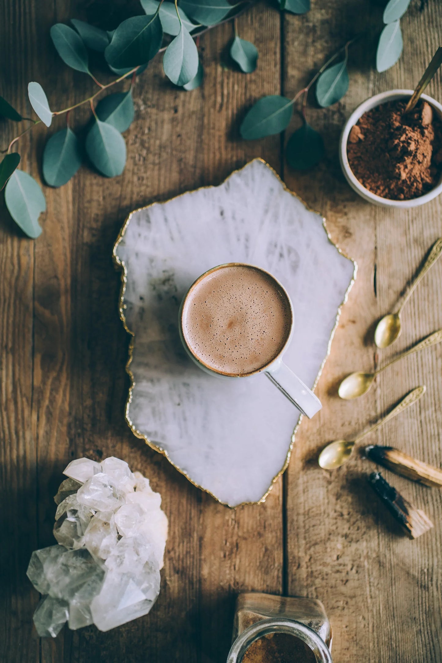 Heirloom Cacao | Ancestral Seeds | Anima Mundi