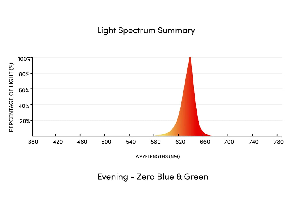 Motion Sensor Night Light