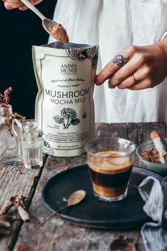 Mushroom Mocha Milk | Longevity Milk* | Anima Mundi