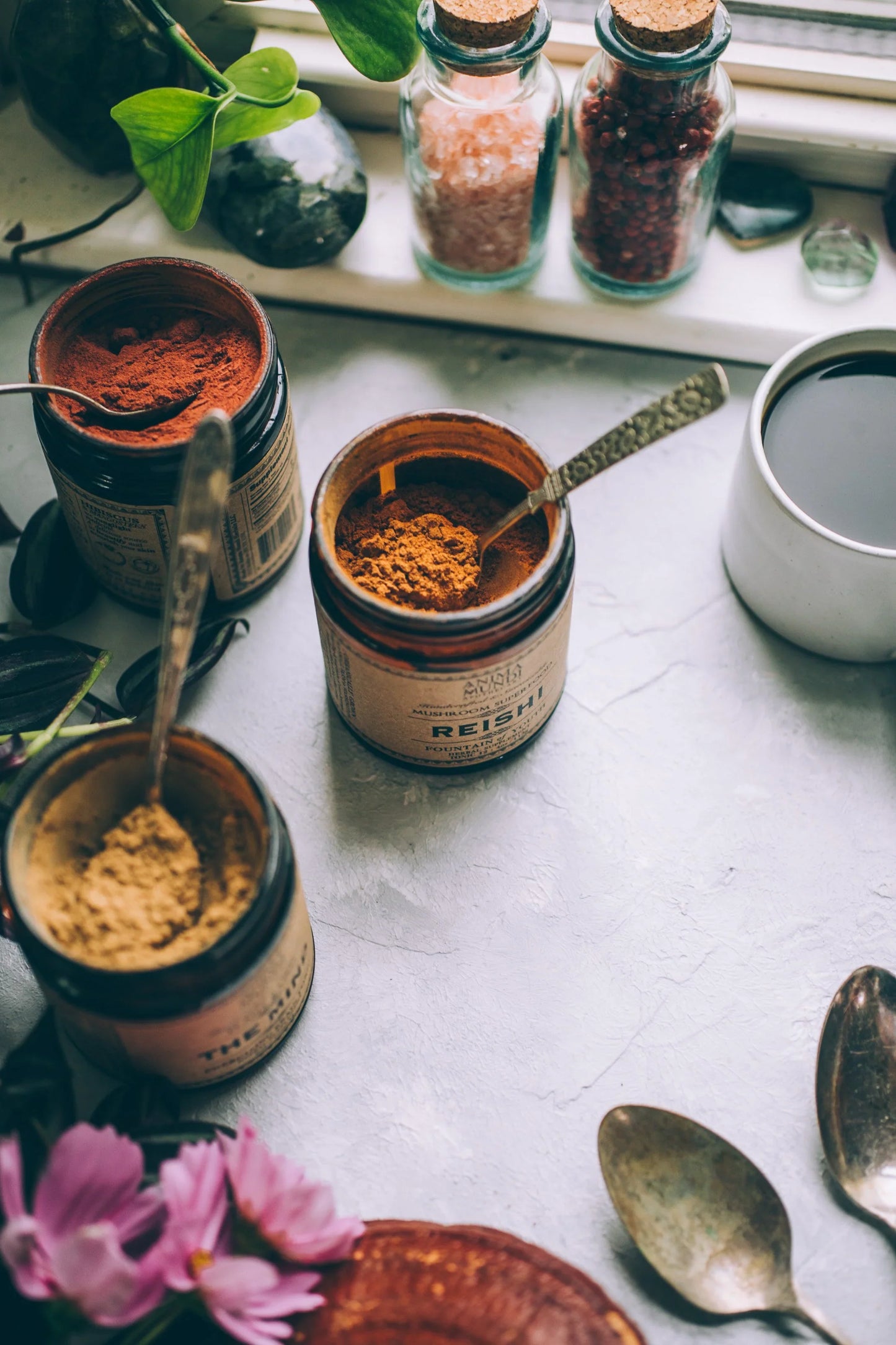 Reishi | Spirit Super-Tonic*