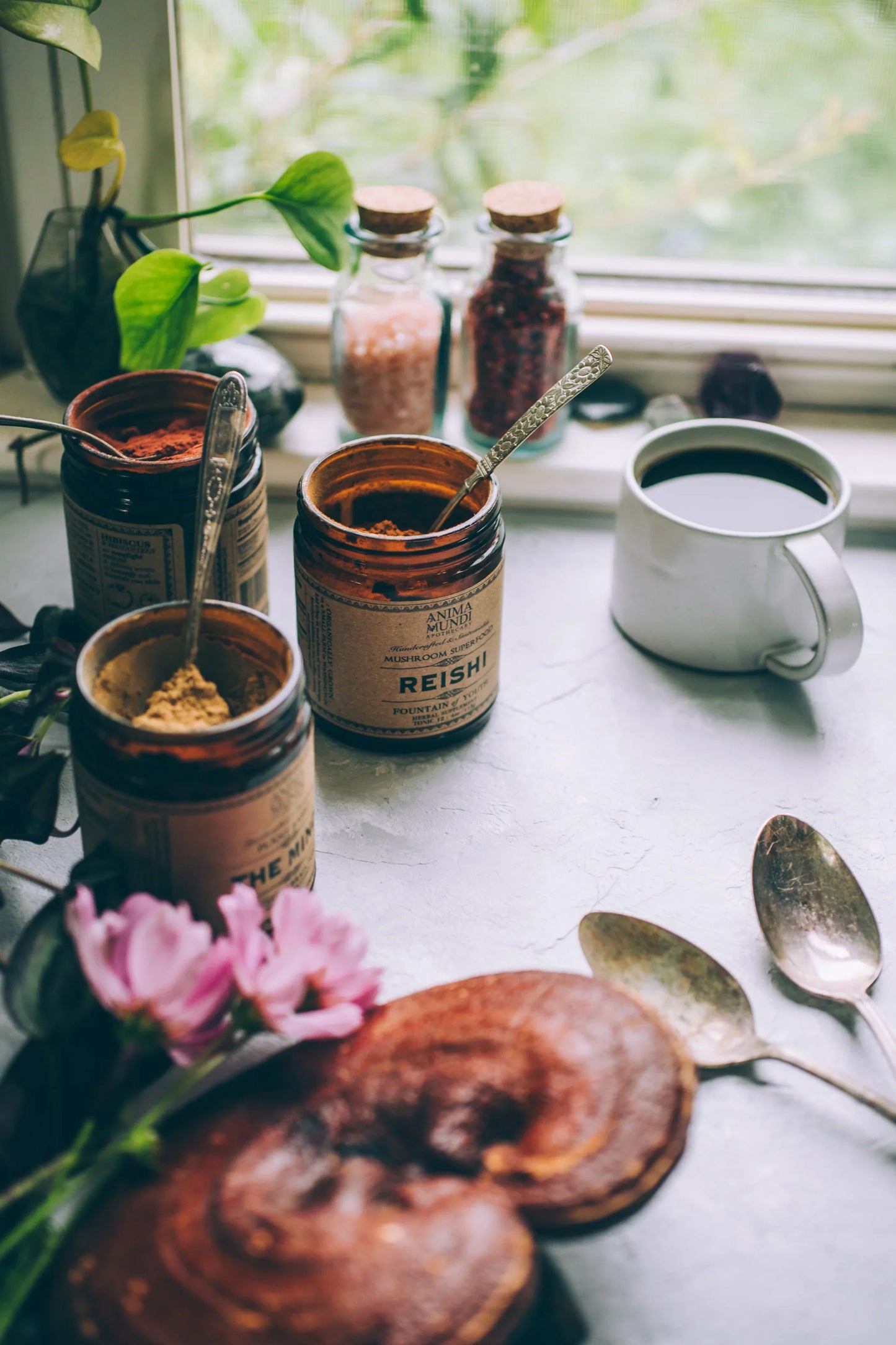 Reishi | Spirit Super-Tonic*